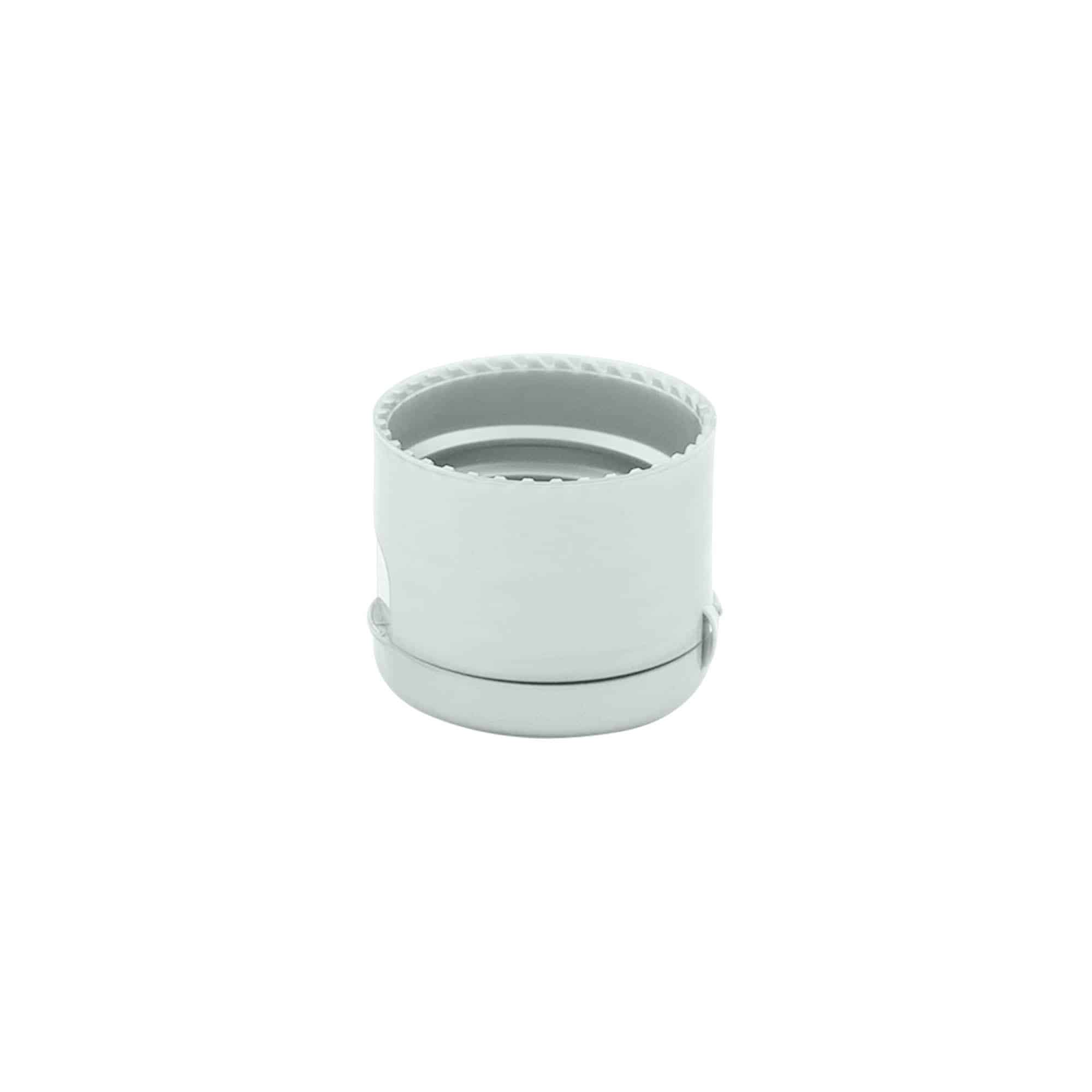 Šroubovací uzávěr s výklopnou krytkou, plast PP, stříbrný, pro ústí: GPI 24/410